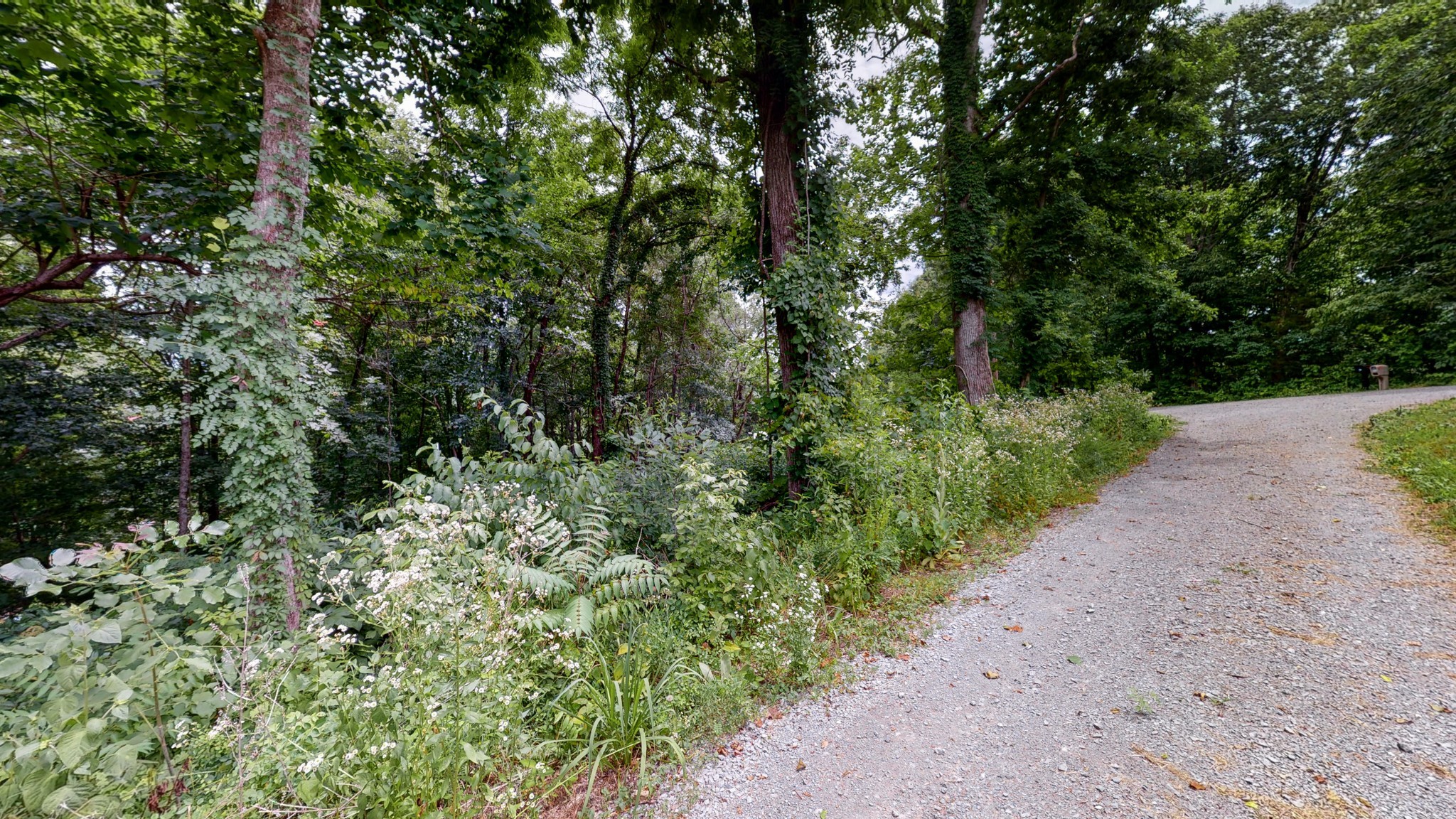 0 Tommy Price Road Lynchburg, TN 37352 - Photo 11 of 16 a view of a road with plants and trees