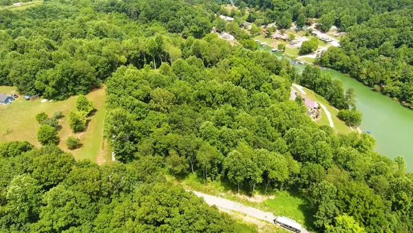 a view of a lush green forest with lawn chairs