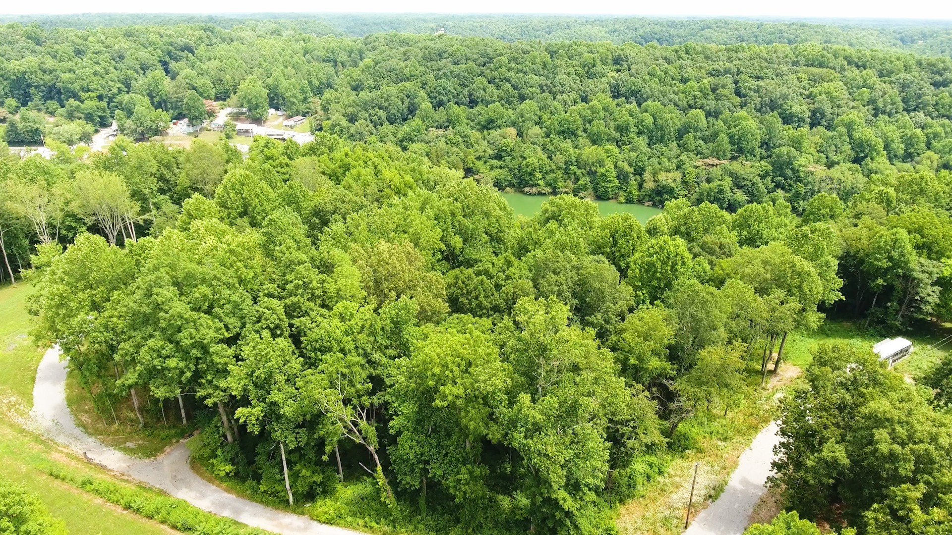 0 Tommy Price Road Lynchburg, TN 37352 - Photo 14 of 16 a view of a forest that has a tree
