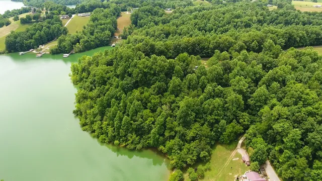 a view of a forest with a houses
