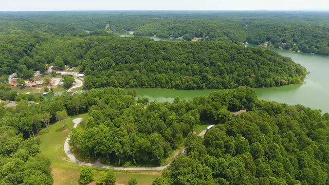a view of a road with plants and trees