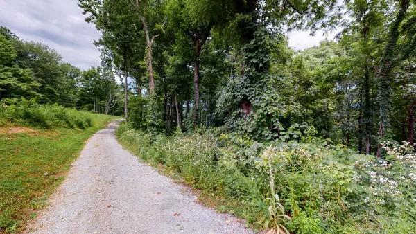 a view of a yard with a tree