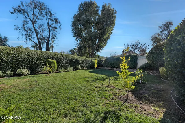 a green field with lots of trees