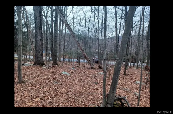 $79,999 | 27 Jean Drive, Cortlandt Manor, NY 10567