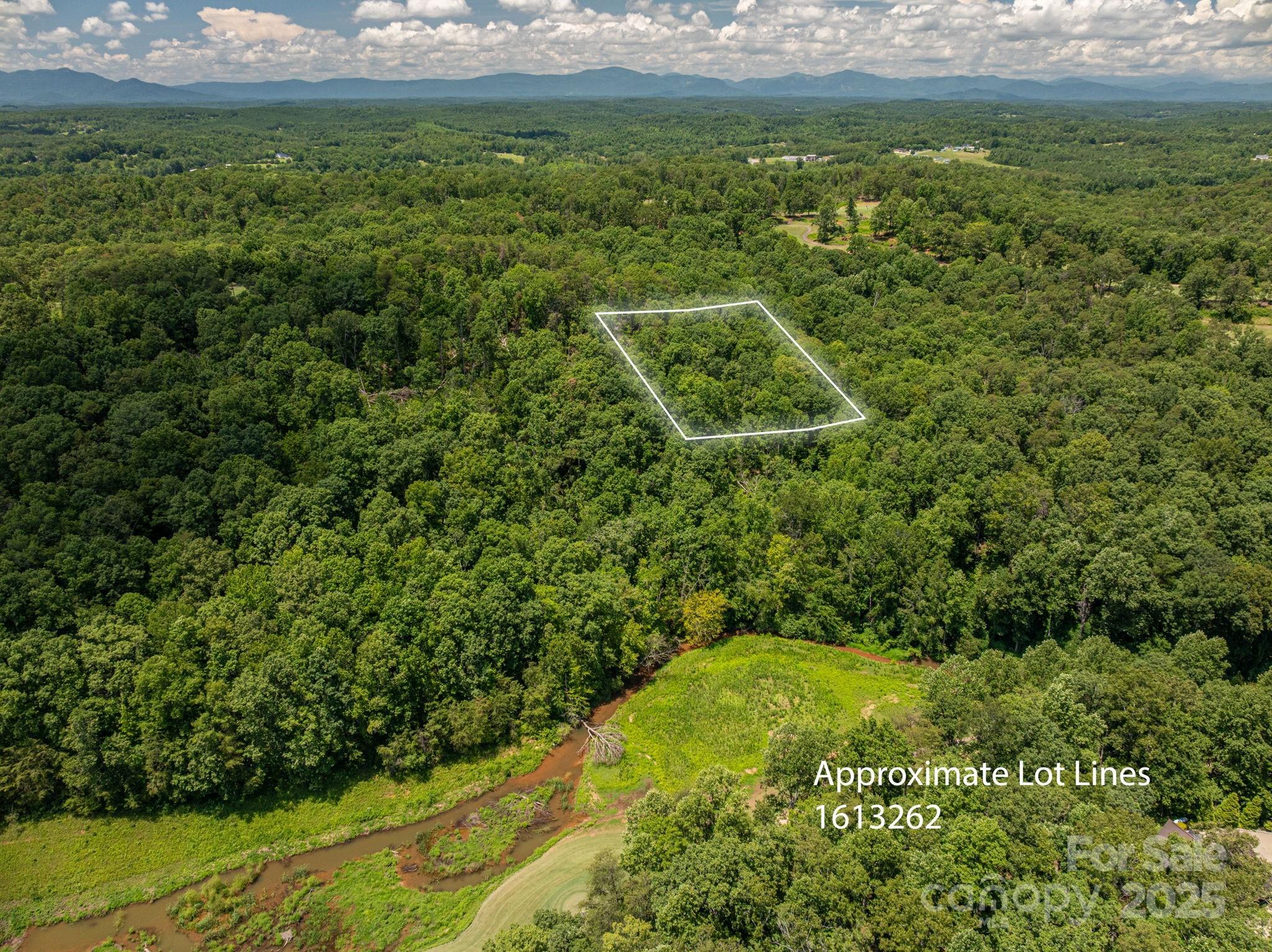 Lot 213 Plantation Drive Rutherfordton, NC 28139 - Photo 1 of 18 a view of a yard with an outdoor space