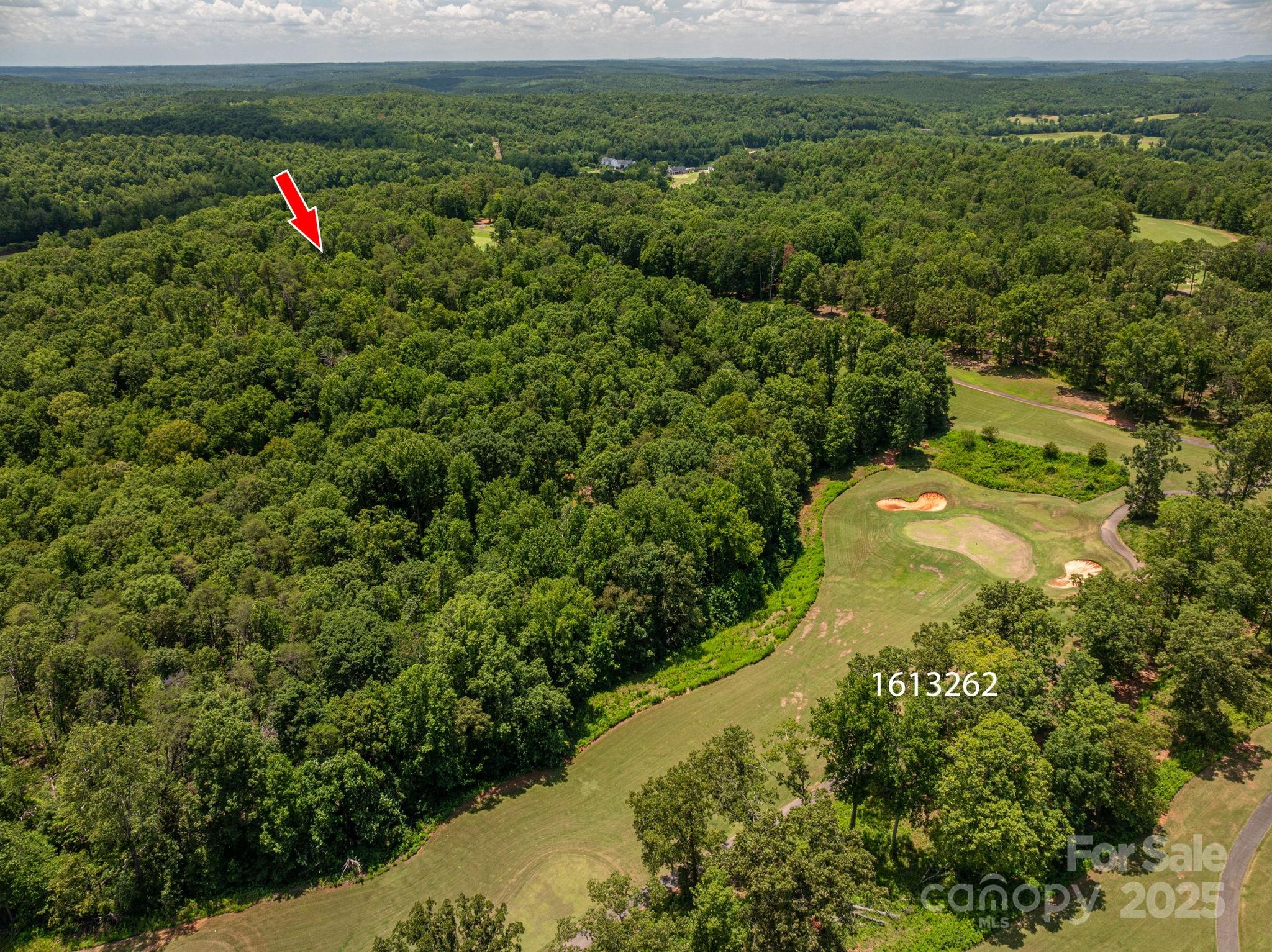 Lot 213 Plantation Drive Rutherfordton, NC 28139 - Photo 3 of 18 a view of a houses with a lush green forest