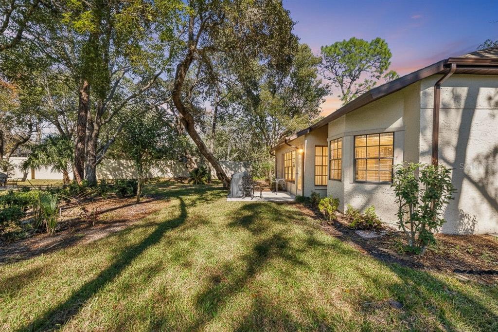 6665 Water Oak Court Spring Hill, FL 34606 - Photo 36 of 64 a view of backyard of house with green space