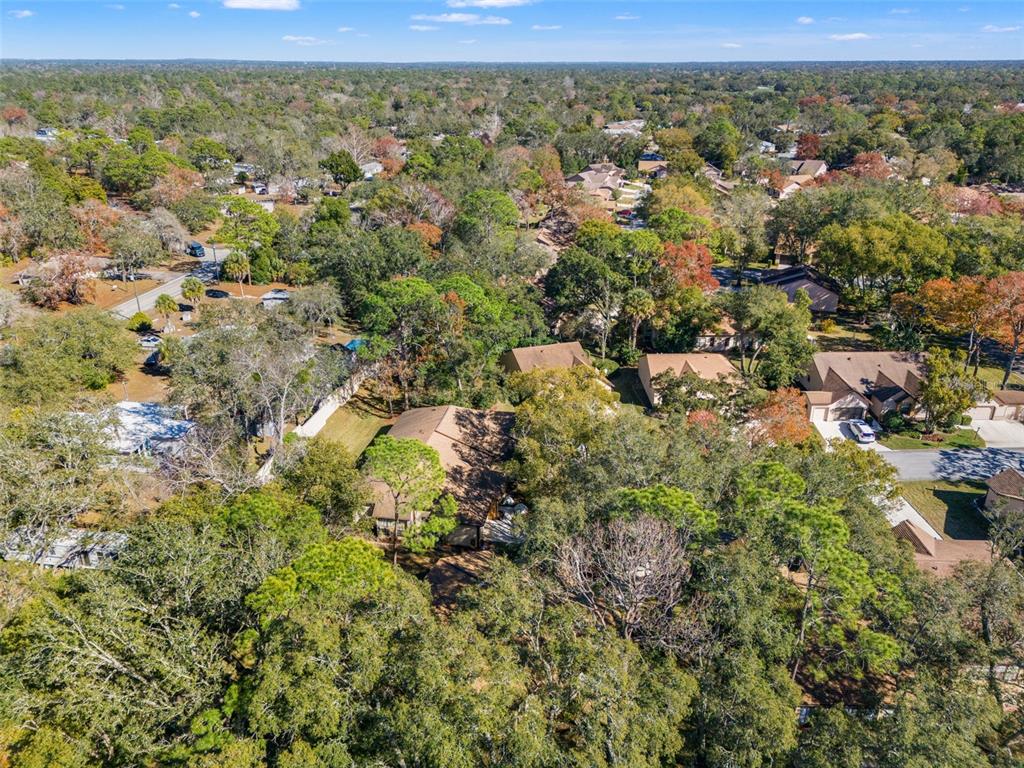 6665 Water Oak Court Spring Hill, FL 34606 - Photo 42 of 64 an aerial view of residential houses with outdoor space and trees