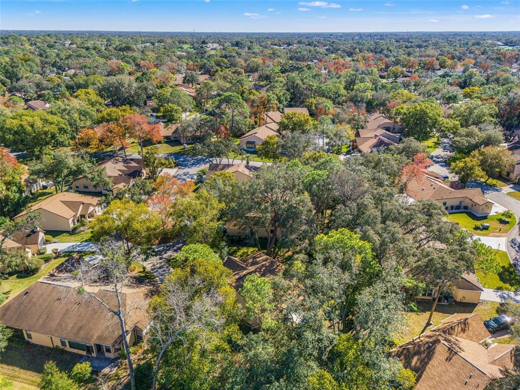 6665 Water Oak Court Spring Hill, FL 34606 - Photo 43 of 64 an aerial view of residential houses with outdoor space