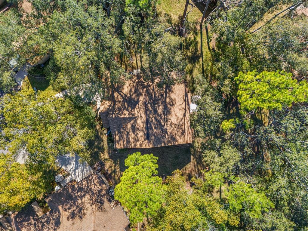 6665 Water Oak Court Spring Hill, FL 34606 - Photo 44 of 64