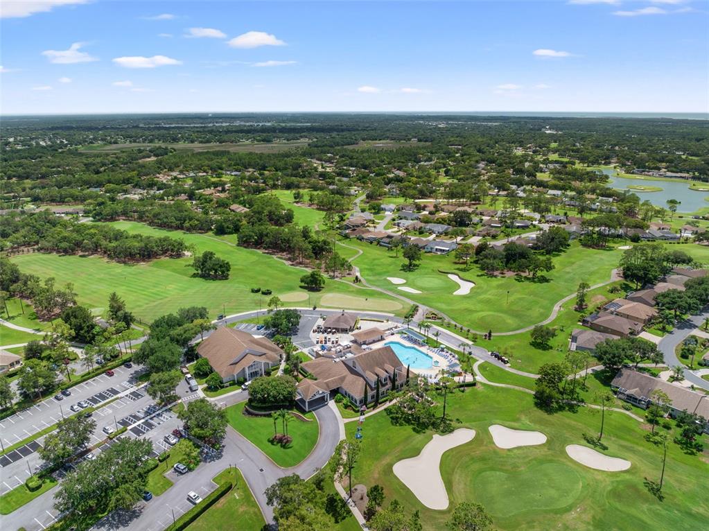 6665 Water Oak Court Spring Hill, FL 34606 - Photo 54 of 64