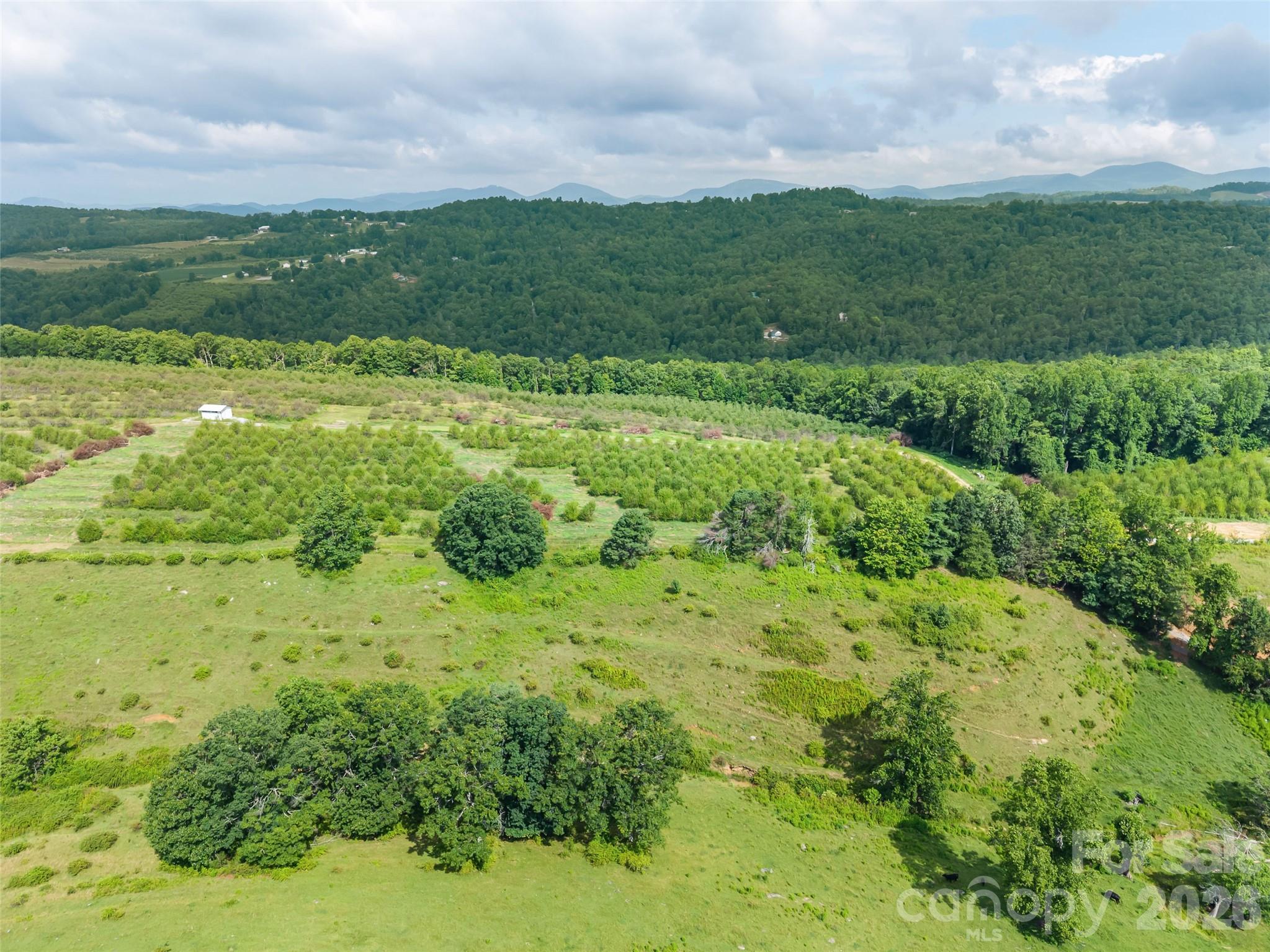0 Summer Road, Unit 2 Hendersonville, NC 28792 - Photo 14 of 16