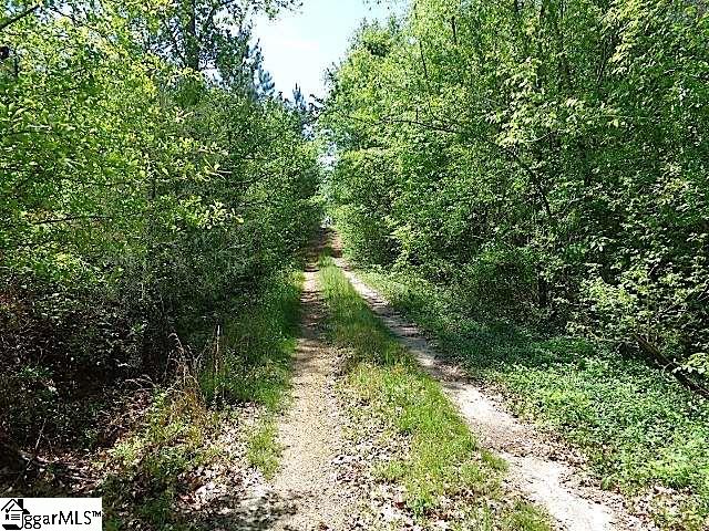 9305 New Cut Road Campobello, SC 29322 - Photo 12 of 21