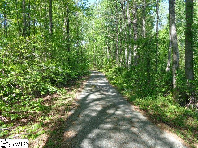 9305 New Cut Road Campobello, SC 29322 - Photo 3 of 21