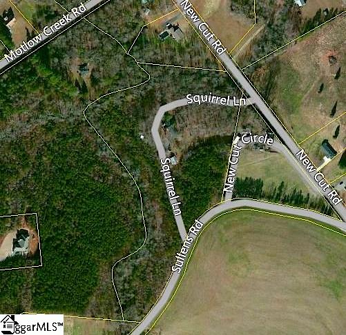 9305 New Cut Road Campobello, SC 29322 - Photo 21 of 21