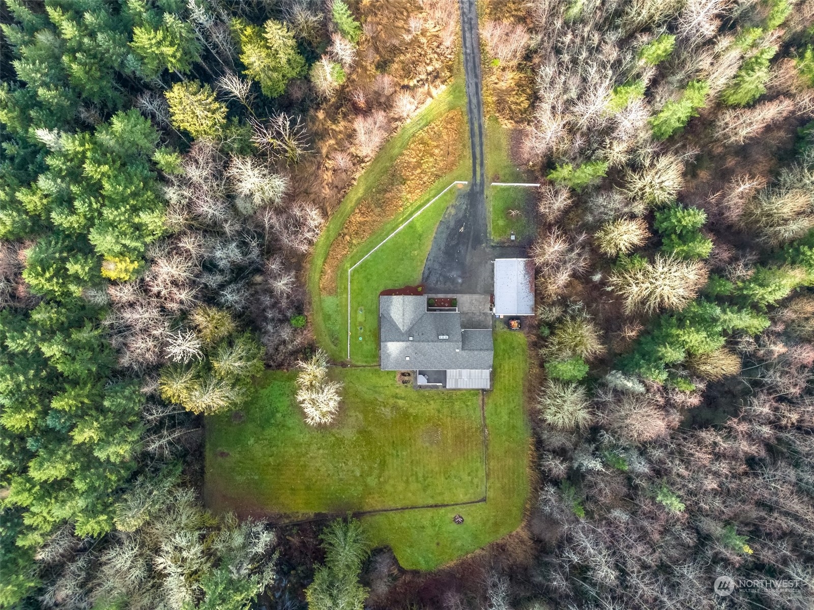 688 Evans Road Toledo, WA 98591 - Photo 36 of 40 a green field with lots of trees