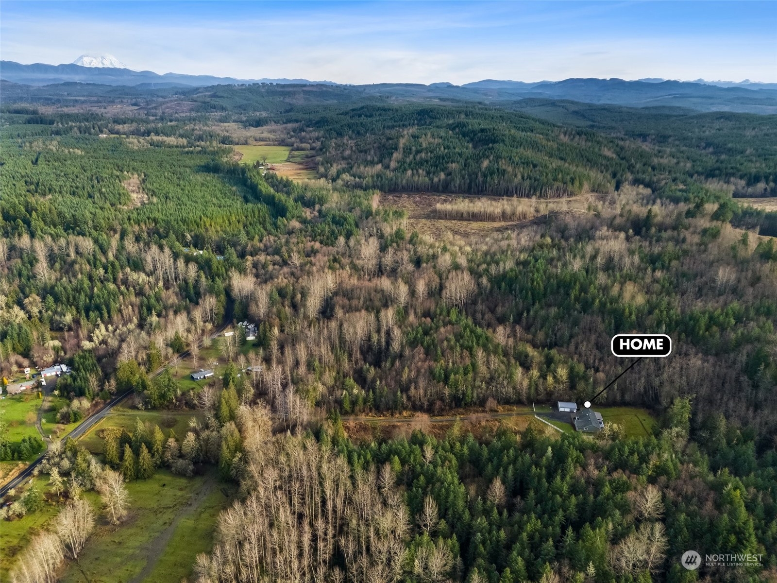 688 Evans Road Toledo, WA 98591 - Photo 39 of 40 a view of a lush green hillside and a houses