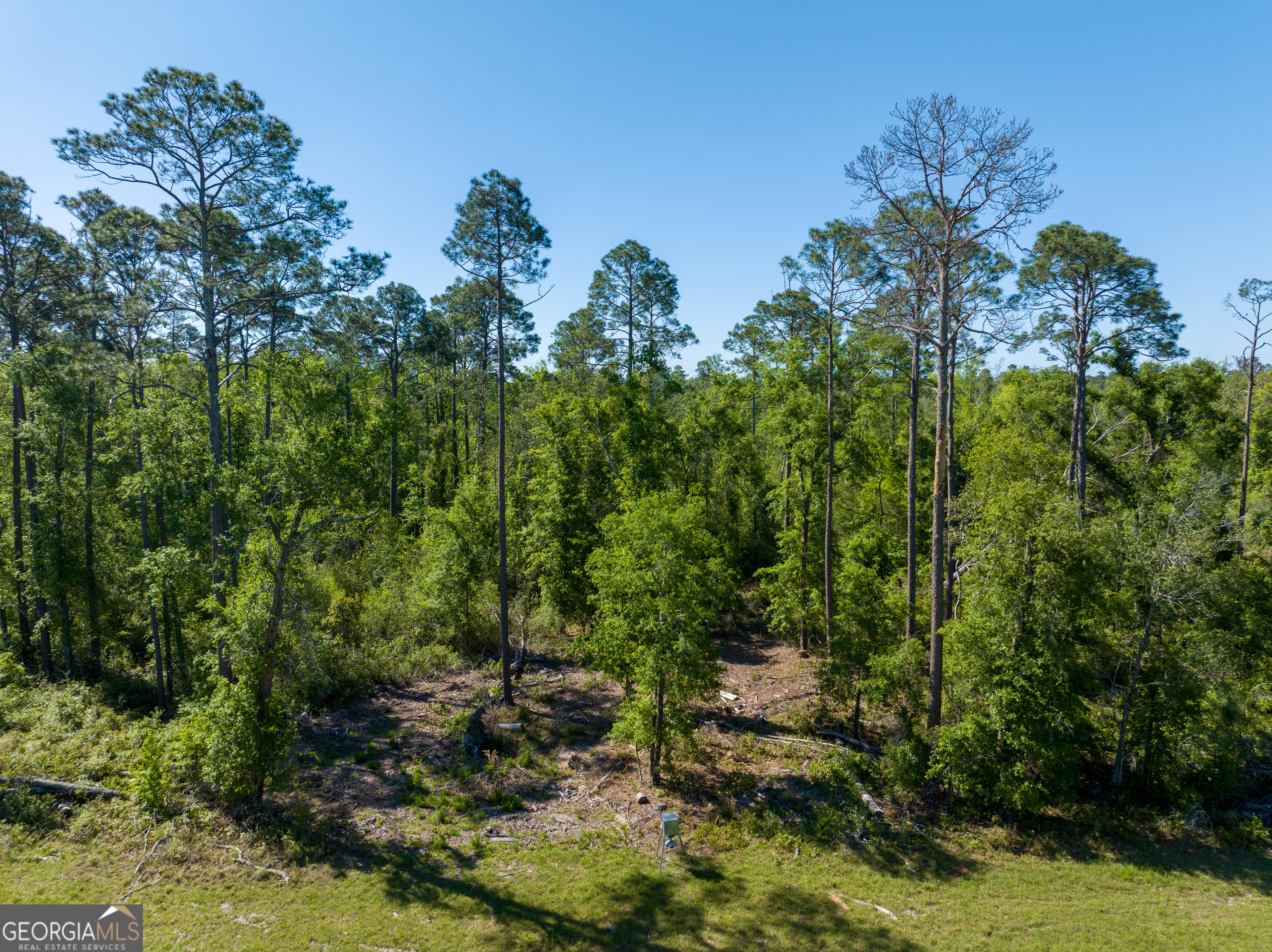 0 Knights Academy Road Valdosta, GA 31605 - Photo 1 of 37