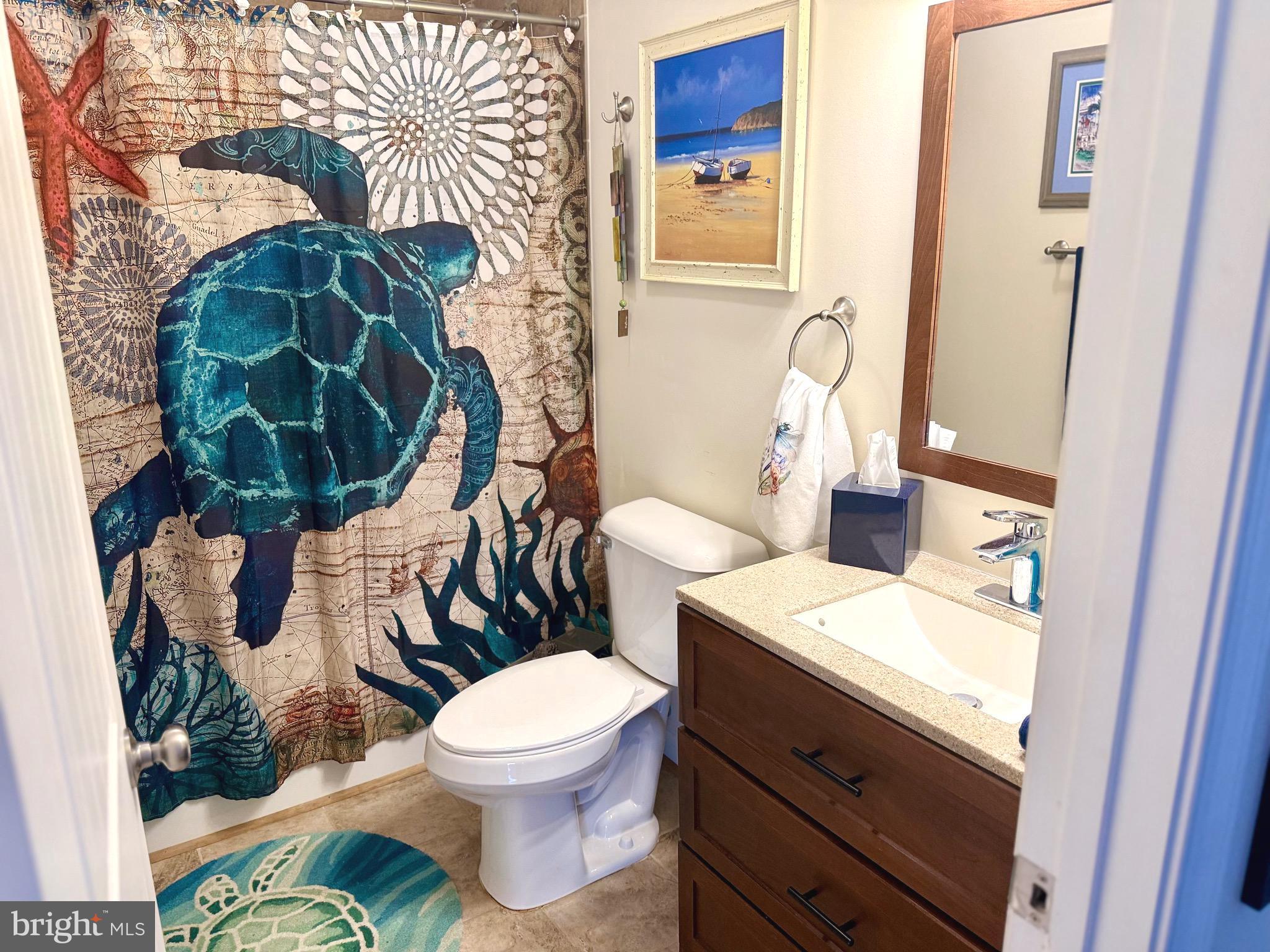 1157 Granny Smith Road Linden, VA 22642 - Photo 22 of 44 Main Floor Full Bathroom