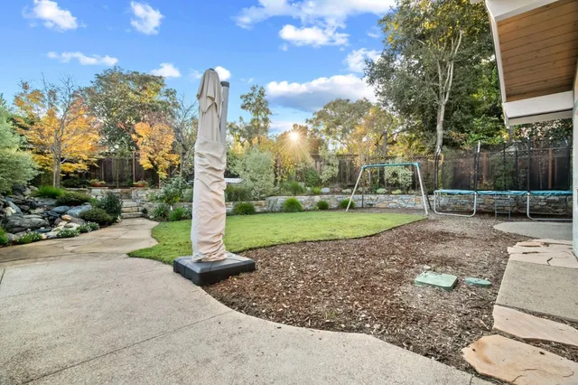 a view of a park with large trees