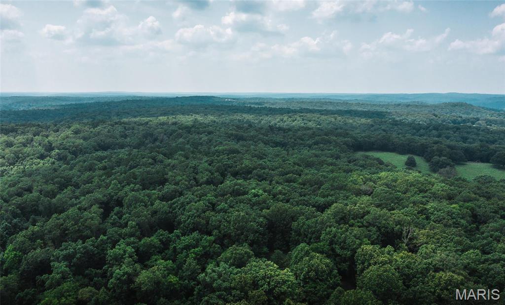 4 Cedar Ford Road Cook Sta, MO 65449 - Photo 2 of 49