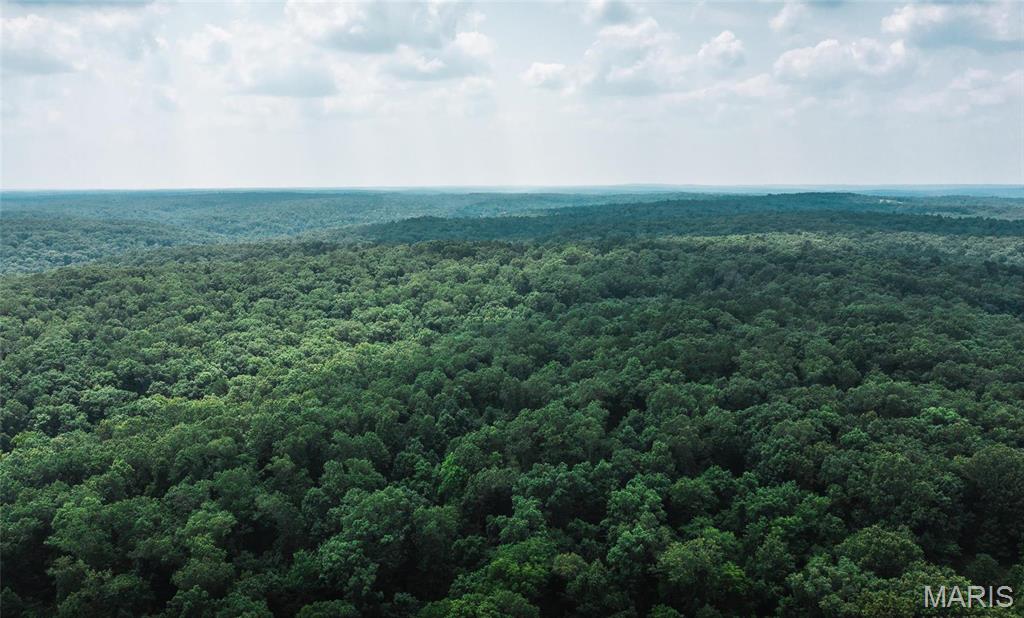 4 Cedar Ford Road Cook Sta, MO 65449 - Photo 23 of 49