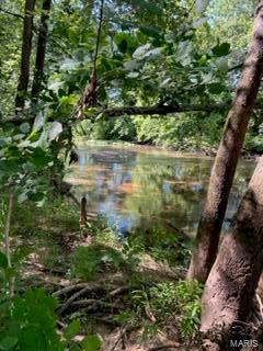 4 Cedar Ford Road Cook Sta, MO 65449 - Photo 4 of 49