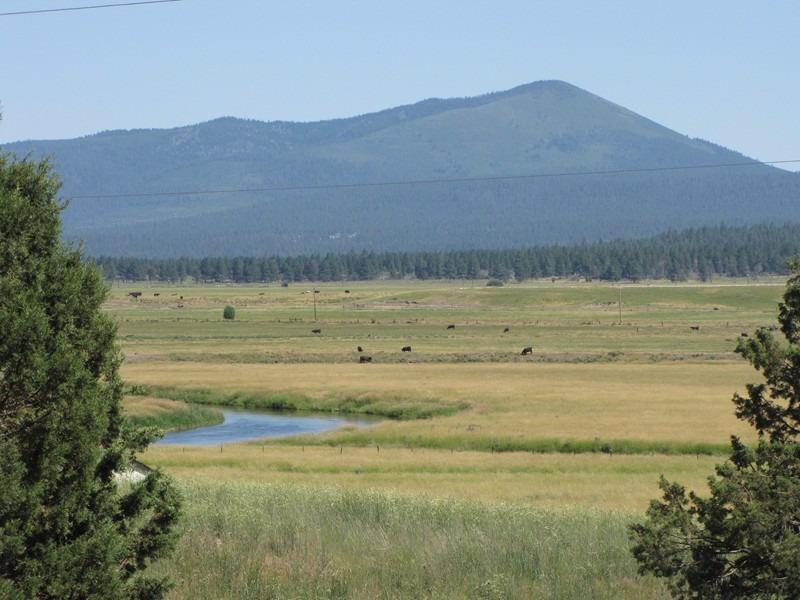 0 Lot 5 Drews Road Beatty, OR 97621 - Photo 1 of 10 Primary Photo