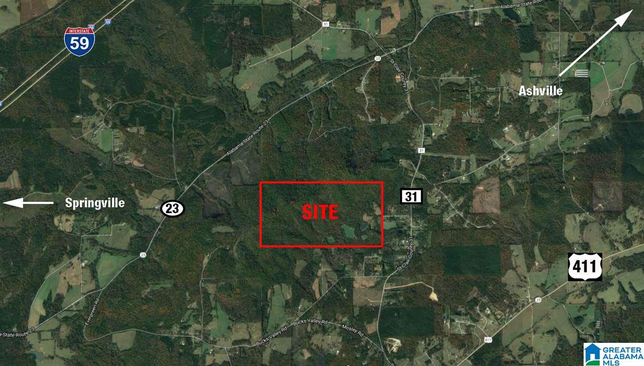 295 Horsley Road Ashville, AL 35953 - Photo 20 of 20
