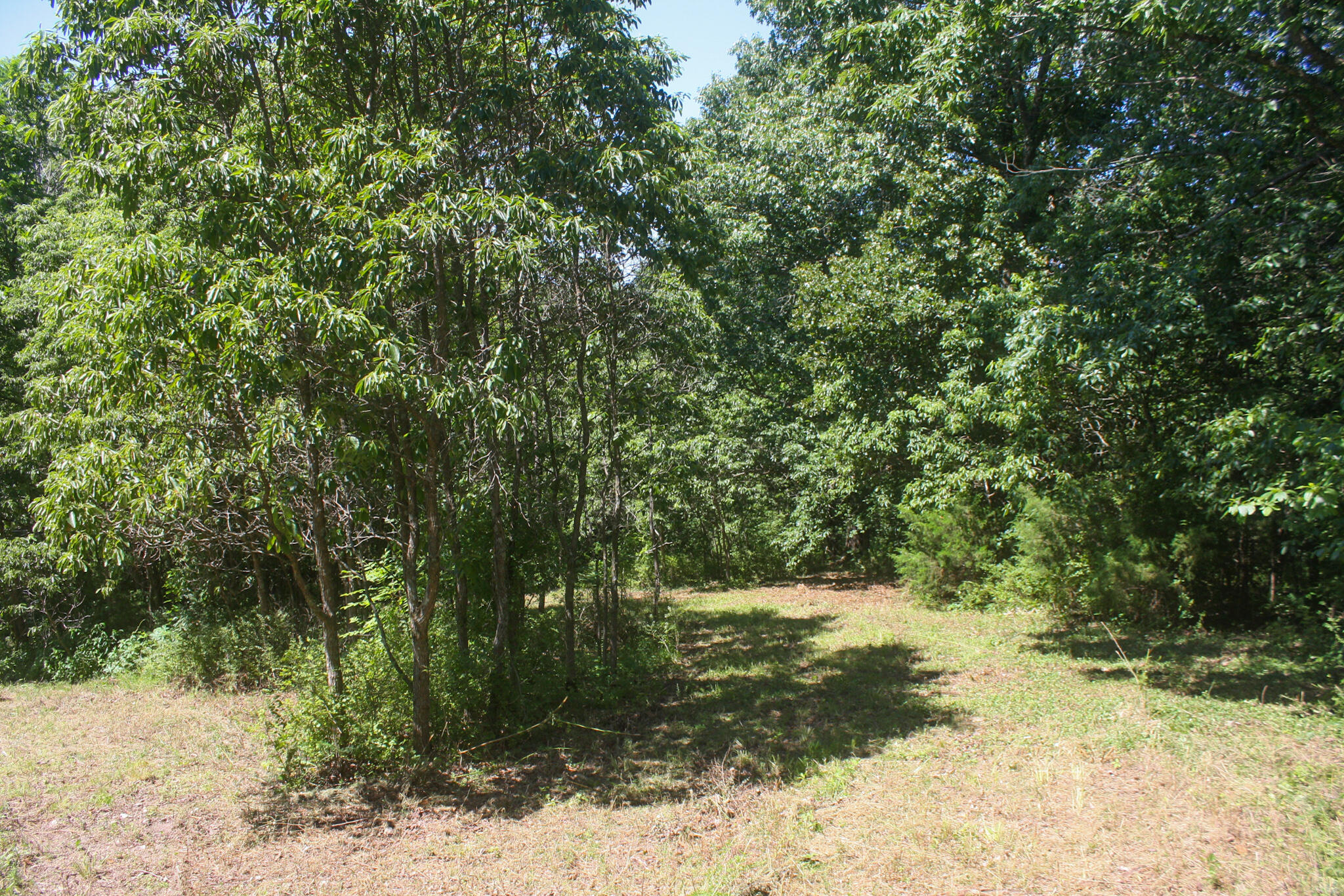 1526 Ozark Road Crane, MO 65633 - Photo 28 of 41 IMG_6835