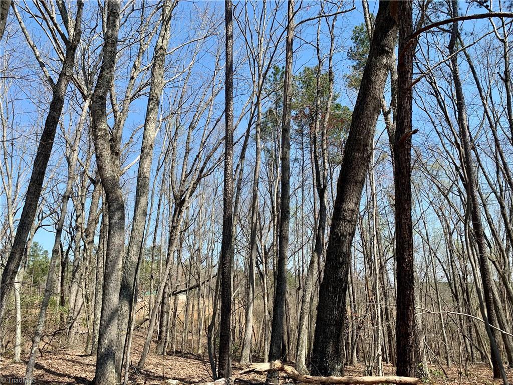 4545 Mountain Spring Road Germanton, NC 27019 - Photo 1 of 21 Gallery Image 1