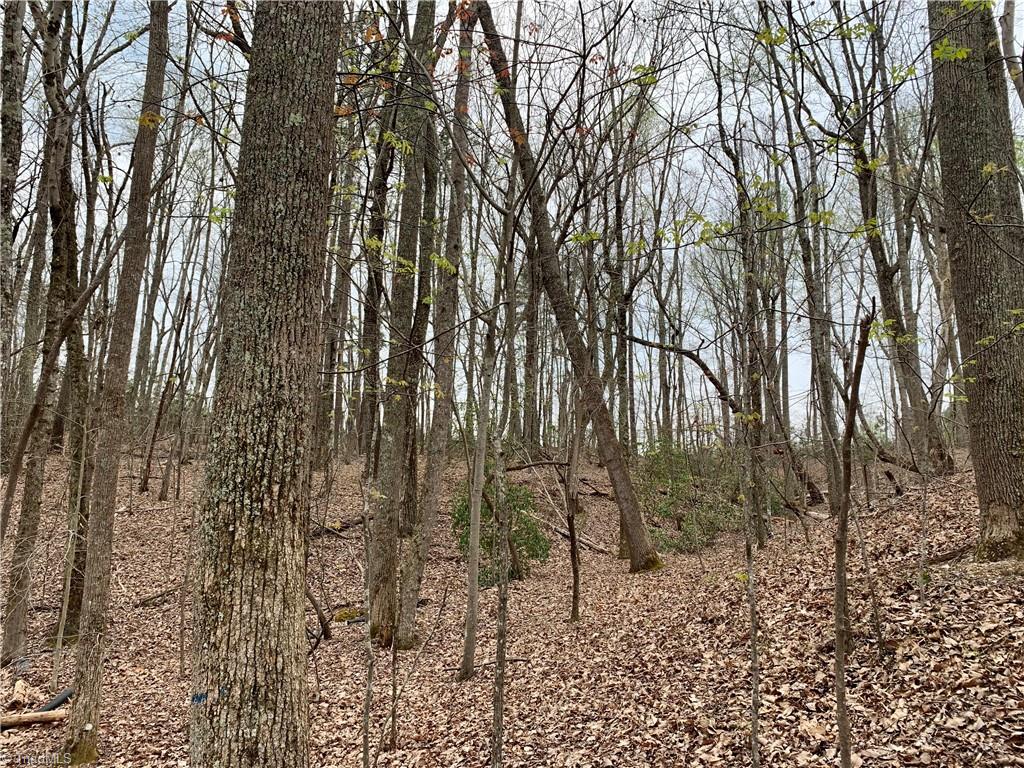 4545 Mountain Spring Road Germanton, NC 27019 - Photo 8 of 21 Gallery Image 8