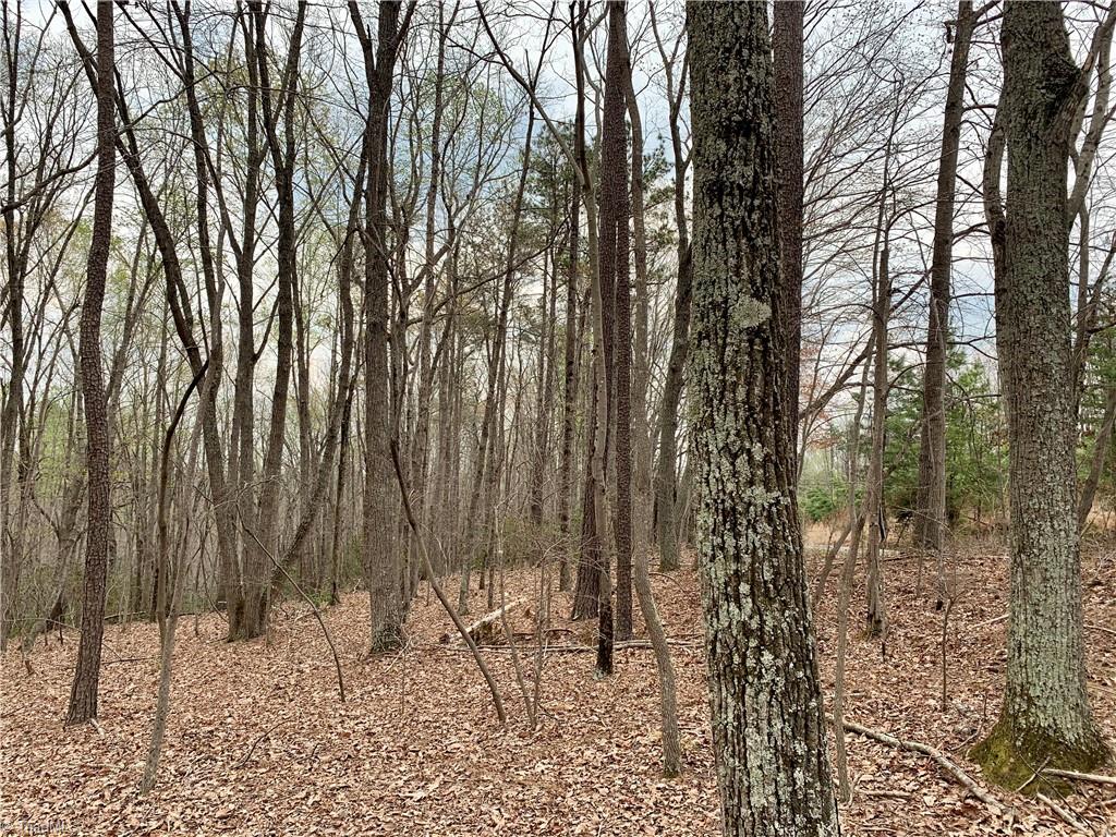 4545 Mountain Spring Road Germanton, NC 27019 - Photo 10 of 21 Gallery Image 10