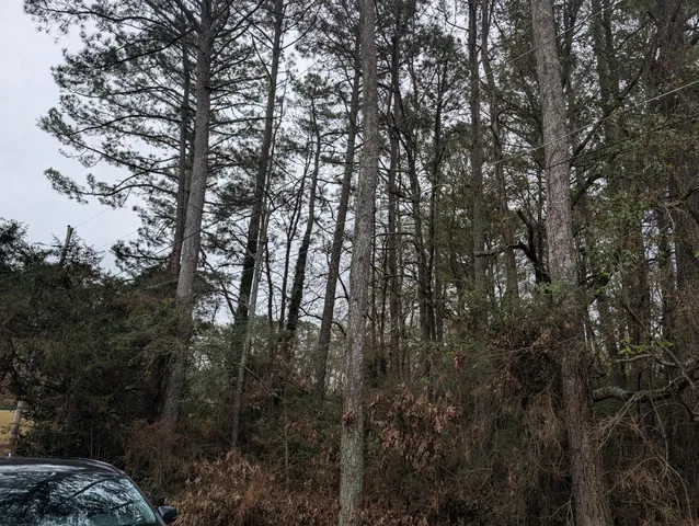 $20,000 | 0 Woodland Circle Northwest, Calhoun, GA 30701