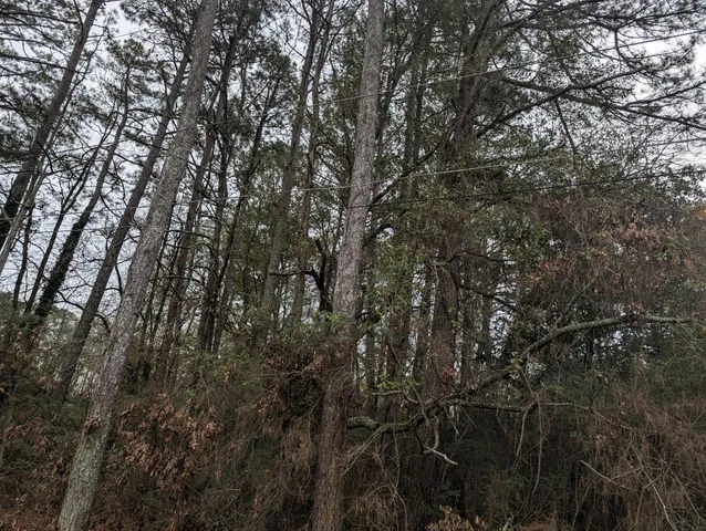 $20,000 | 0 Woodland Circle Northwest, Calhoun, GA 30701