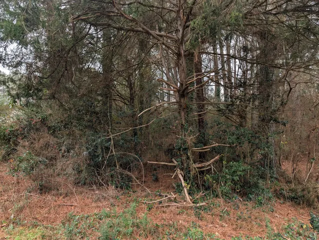 $20,000 | 0 Woodland Circle Northwest, Calhoun, GA 30701