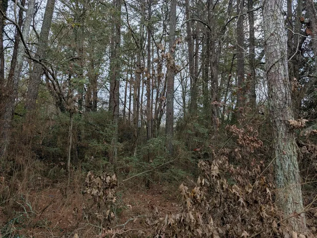 $20,000 | 0 Woodland Circle Northwest, Calhoun, GA 30701