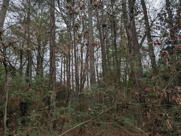 $20,000 | 0 Woodland Circle Northwest, Calhoun, GA 30701