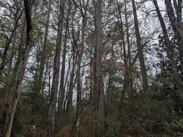 $20,000 | 0 Woodland Circle Northwest, Calhoun, GA 30701