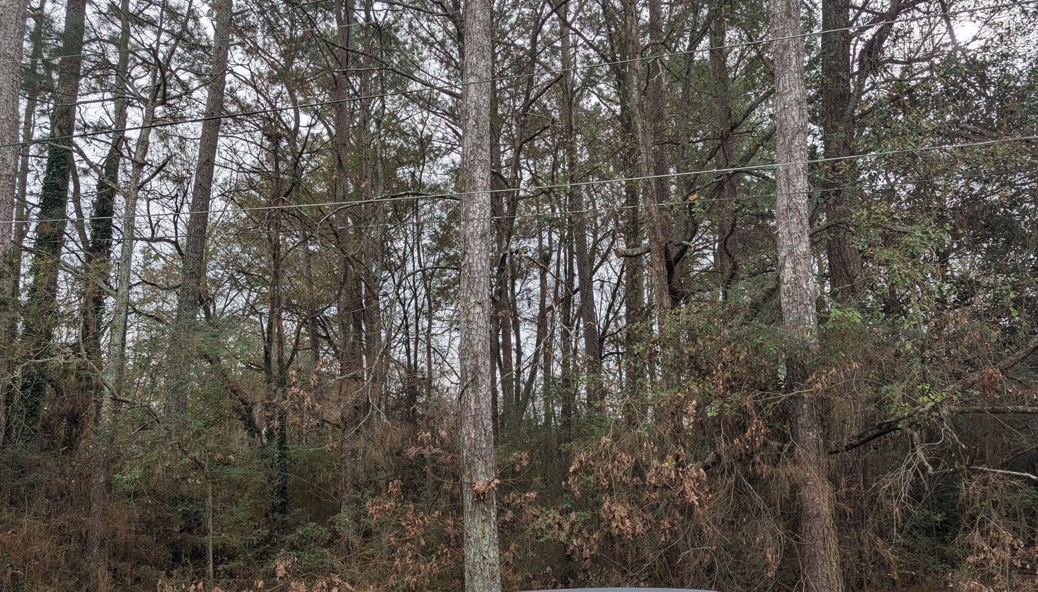 0 Woodland Circle Northwest Calhoun, GA 30701 - Photo 41 of 42 woodland cir