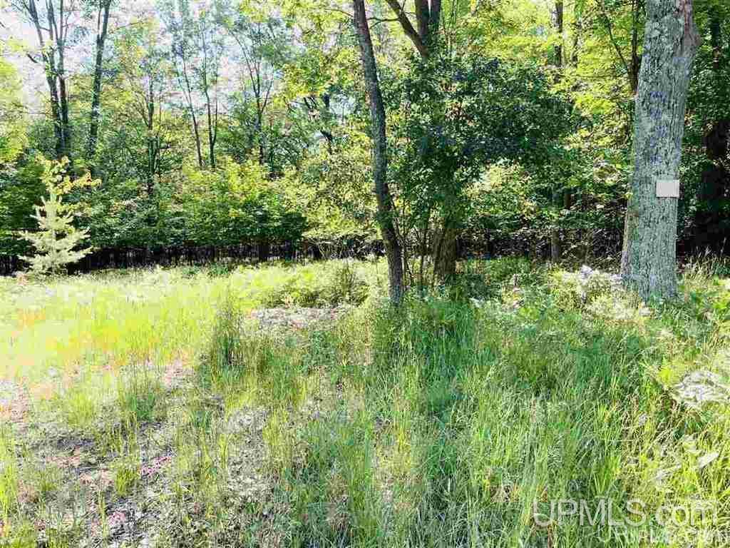57 Tipperary Road Gladstone, MI 49837 - Photo 14 of 20