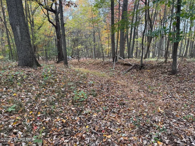 $300,000 | 316 A Sweetmans Lane, Millstone Township, NJ 08535