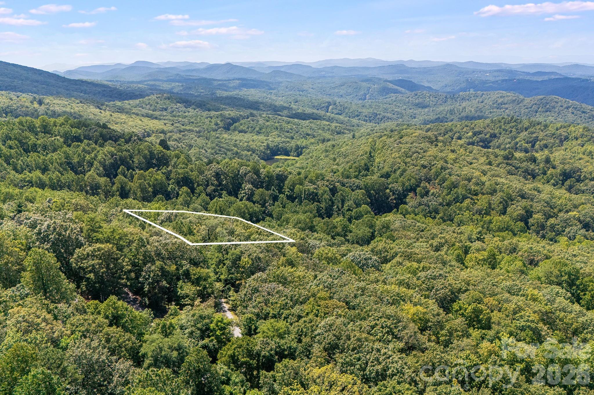 Lot 341 Melrose Mountain Road Tryon, NC 28782 - Photo 8 of 11 Gallery Image 8