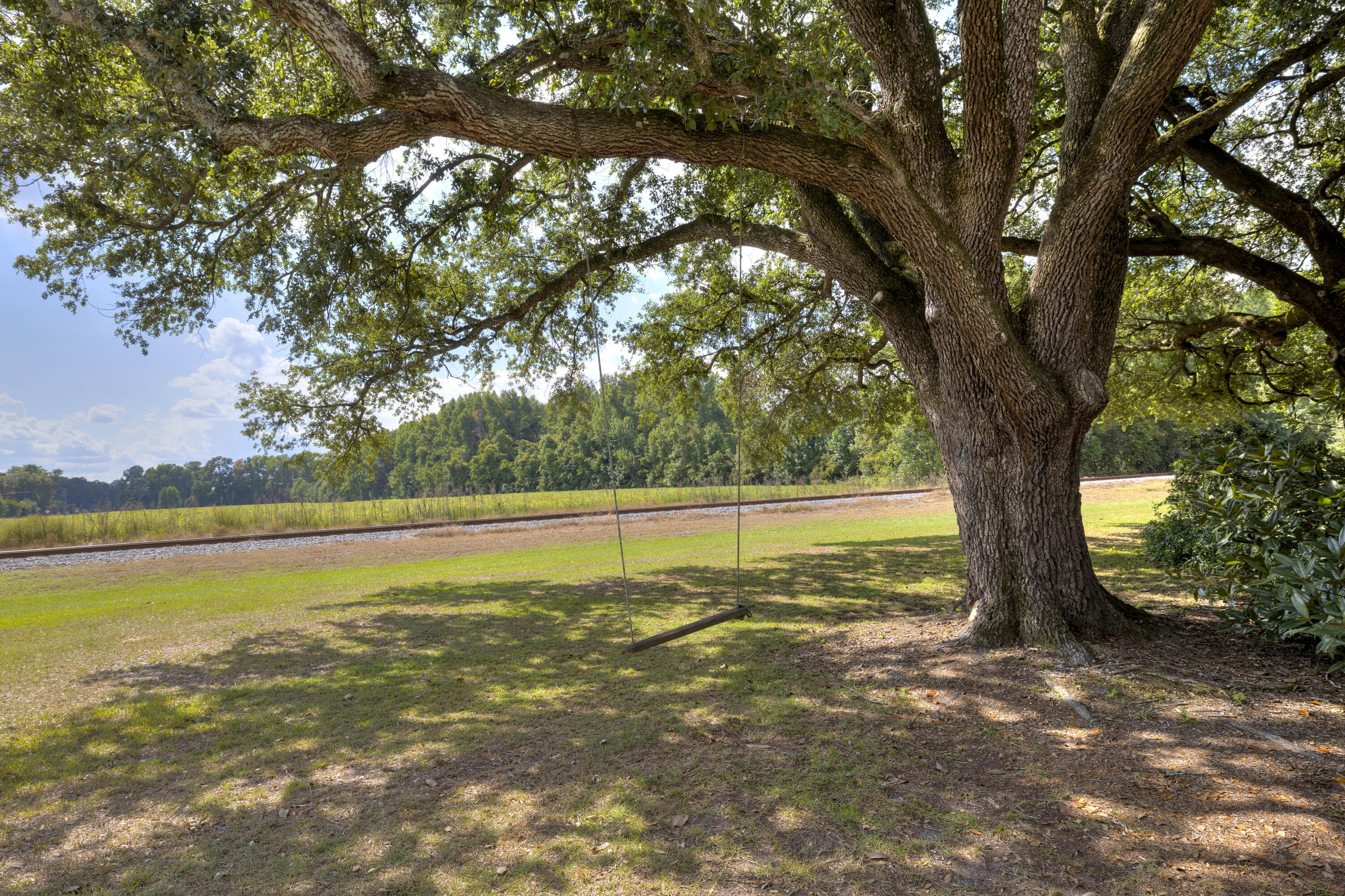 1649 Brogdon Road Alcolu, SC 29001 - Photo 3 of 82 02