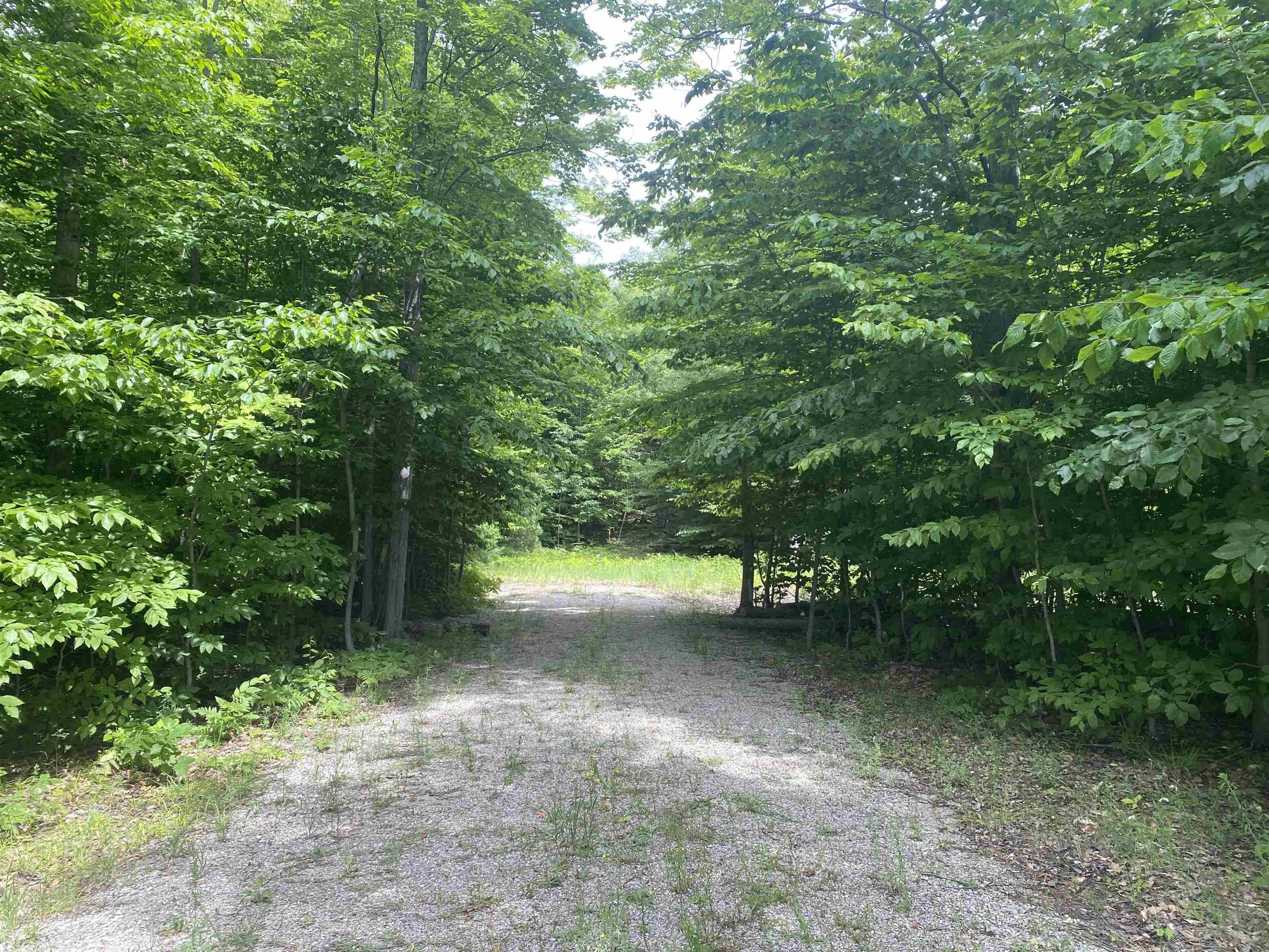 Green Briar Road Lake Ann, MI 49650 - Photo 2 of 16 1947287-a737ca9c-e4ed-45e3-849f-a1a14ec9c0ec.JPG