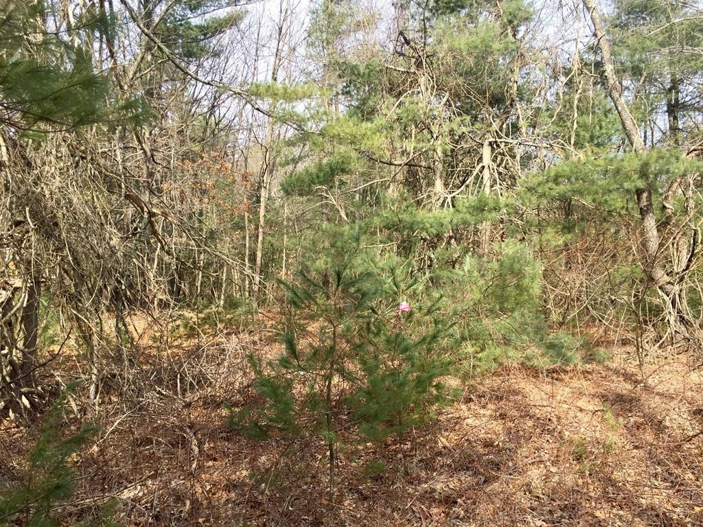 3 Webster Street Douglas, MA 01516 - Photo 5 of 5