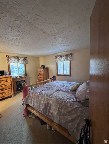 9 Miners Street Stockton, UT 84071 - Photo 14 of 26