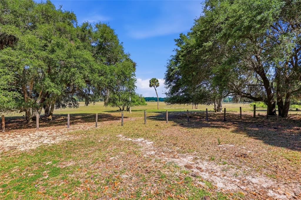 22130 Northwest 75th Avenue Road Micanopy, FL 32667 - Photo 39 of 52