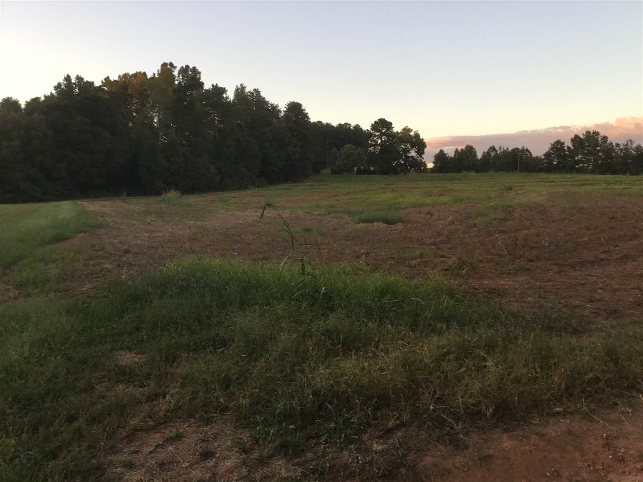 0 Walls Road Greer, SC 29651 - Photo 5 of 10