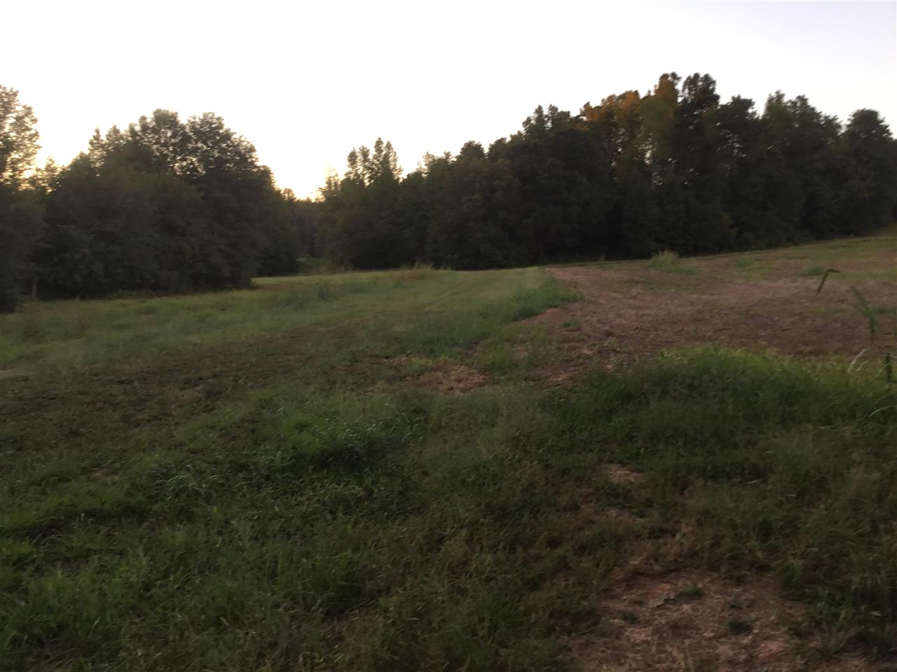 0 Walls Road Greer, SC 29651 - Photo 6 of 10